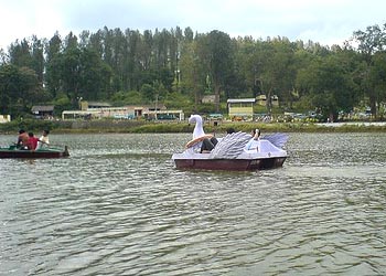 Anaimudi tours and Travels-yercaud 